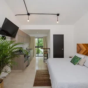 https://stay-tropical-downtown-studios.quintano-roohotels.com