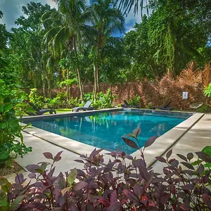 https://tierra-maya-hotel-spa-sanctuary.quintano-roohotels.com