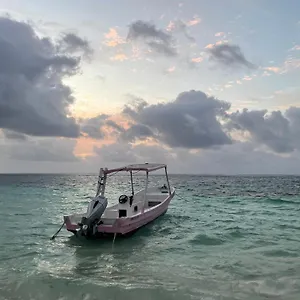 Home's Jungle Puerto Morelos 20 Minutes From The Airport , Cancún Mexique